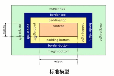 标准模型